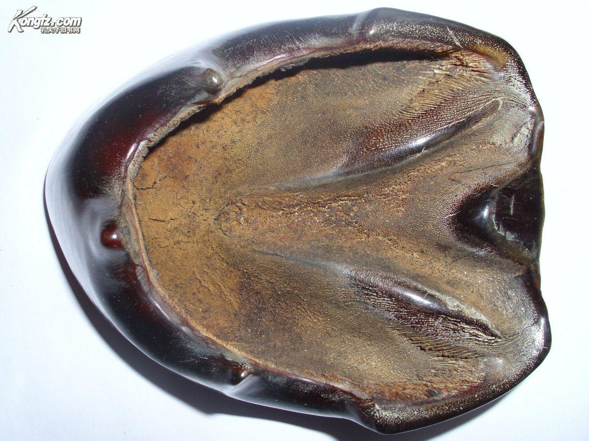 马蹄笔洗蹄壳工艺品文房四宝笔墨纸砚书房用品毛笔书法牛角骨雕