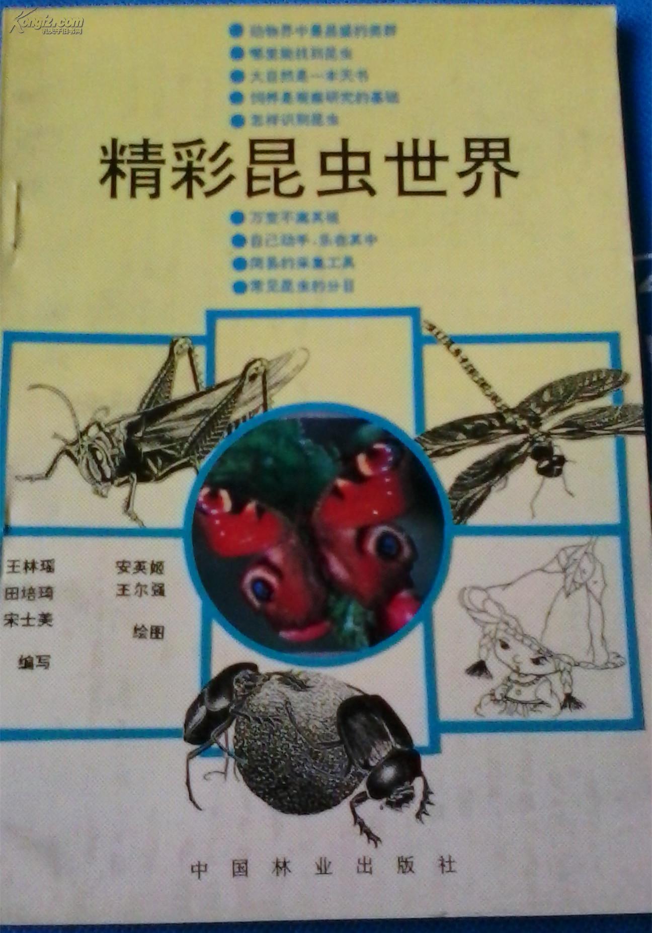 精彩昆虫世界 中国林业出版社1992年1版1印 书中有大量的清晰的昆虫图片