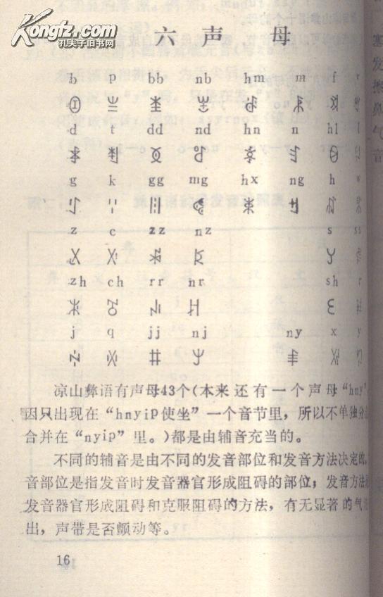 凉山彝语语音与文字