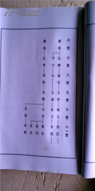 家谱----邵氏支谱【树德堂】盐城仲和公支 谱稿 大16开 210页 2012年