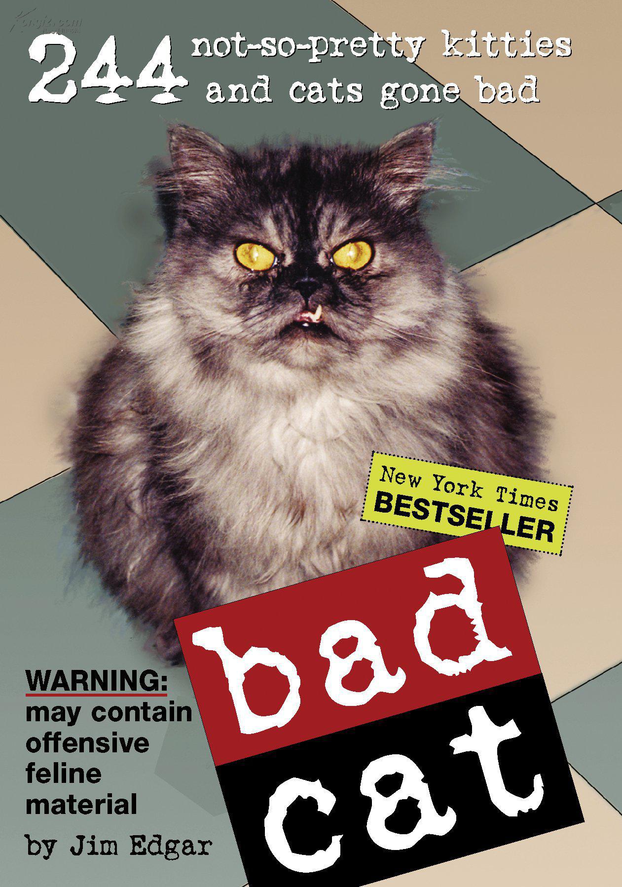 bad cat: 244 not-so-pretty kitties and cats gone bad