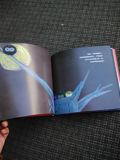 正版现货——小黑鸟 (精装绘本)