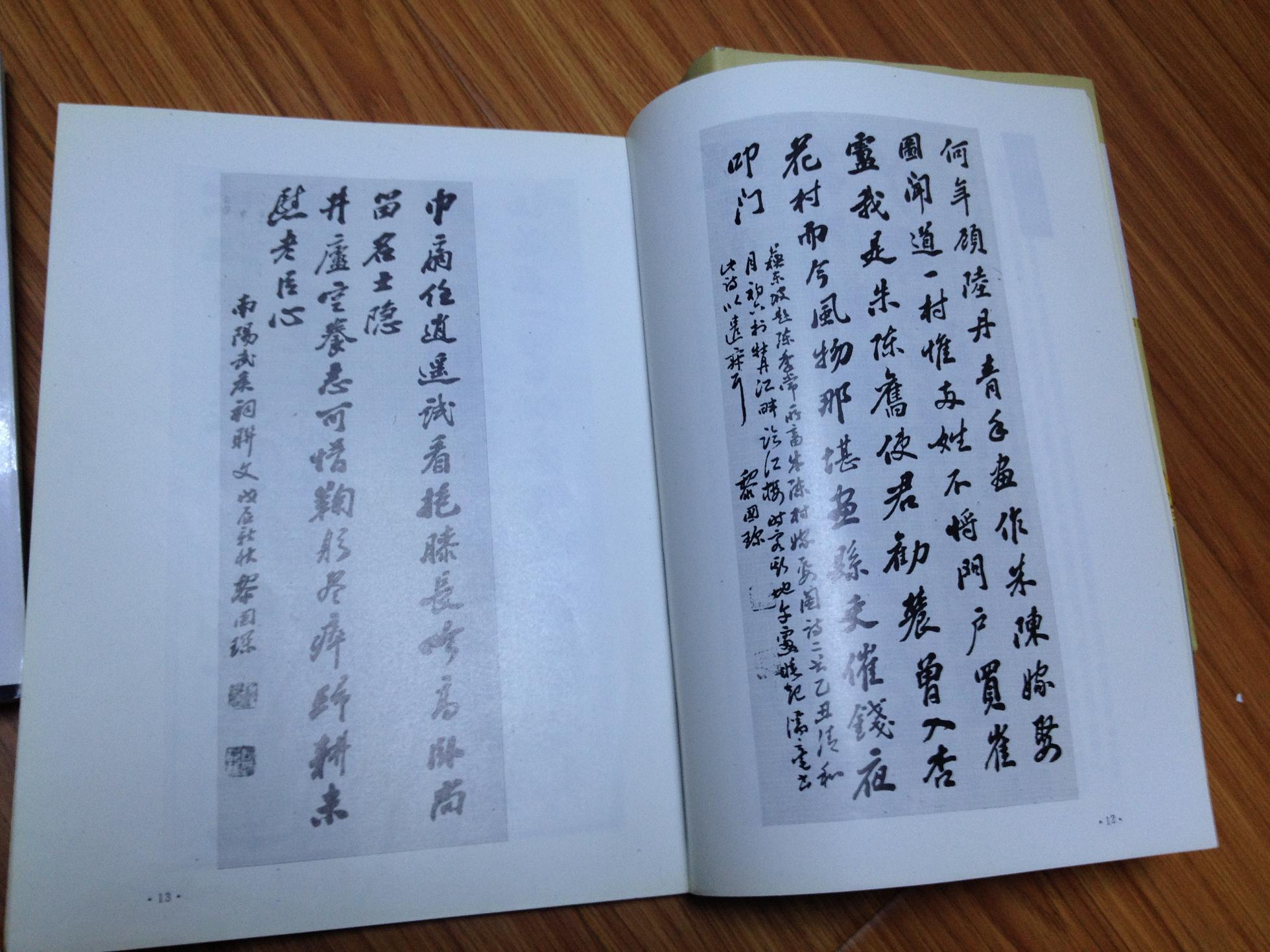 《黎国琛书法集 》(阜阳书法名家,魏碑,苏体,板桥体书法功力一流!