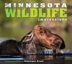Minnesota Wildlife Impressions