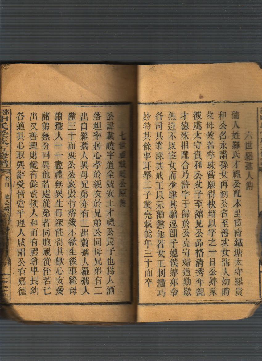 邵阳申氏五修族谱(艺文集,卷首,卷一)