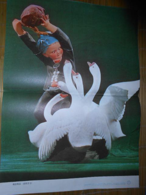 小学课本语文第三册教学图片(第二套):颗