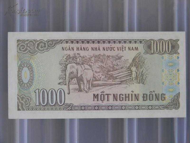 1000越南盾