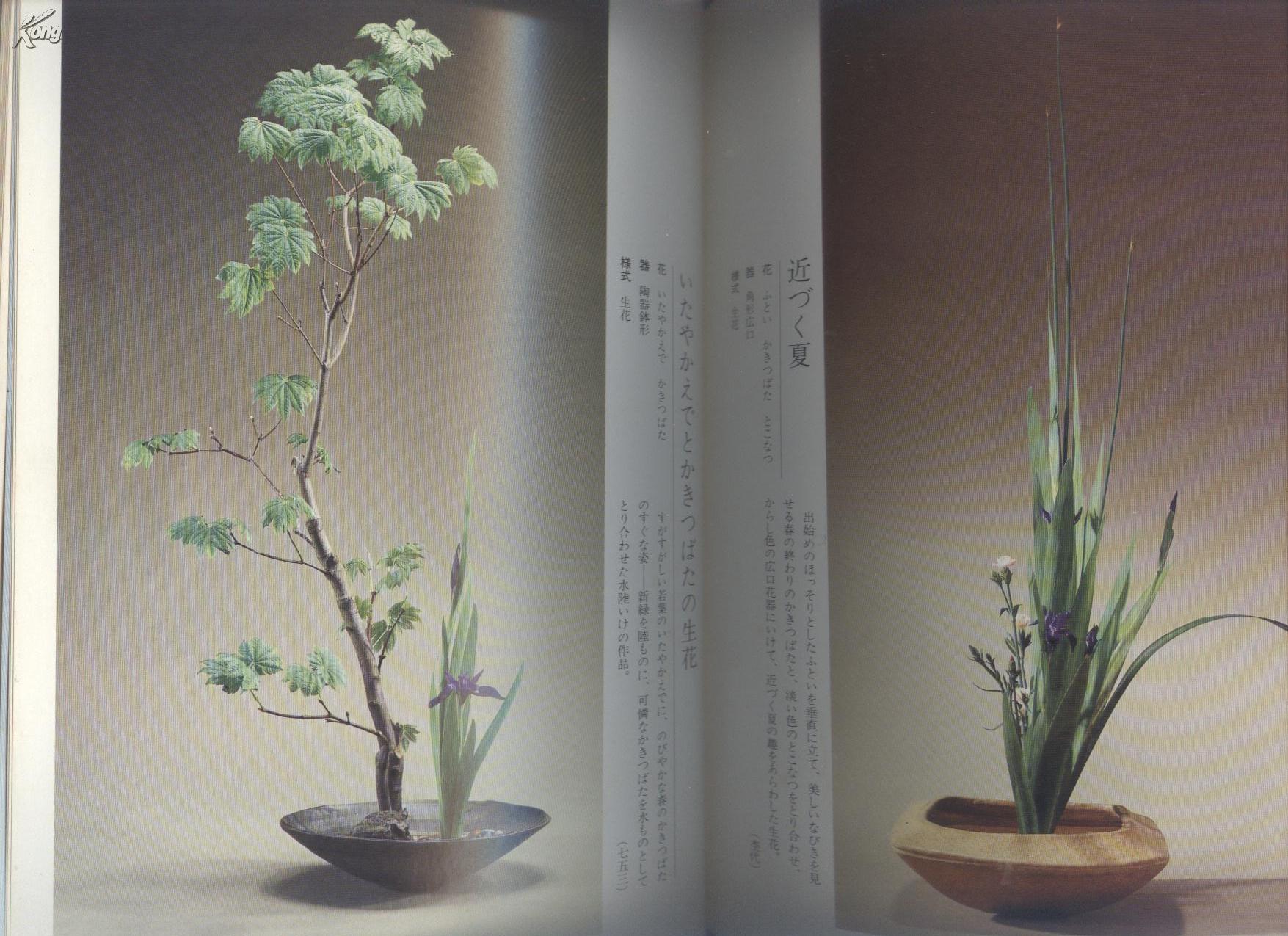 池坊东京10人集 春夏篇 杭州现货,经典好书