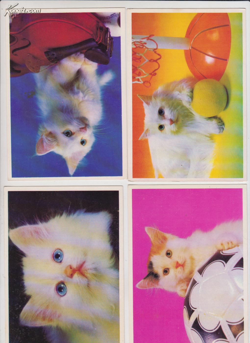 咪咪世界 明信片未使用过 【一套】1991