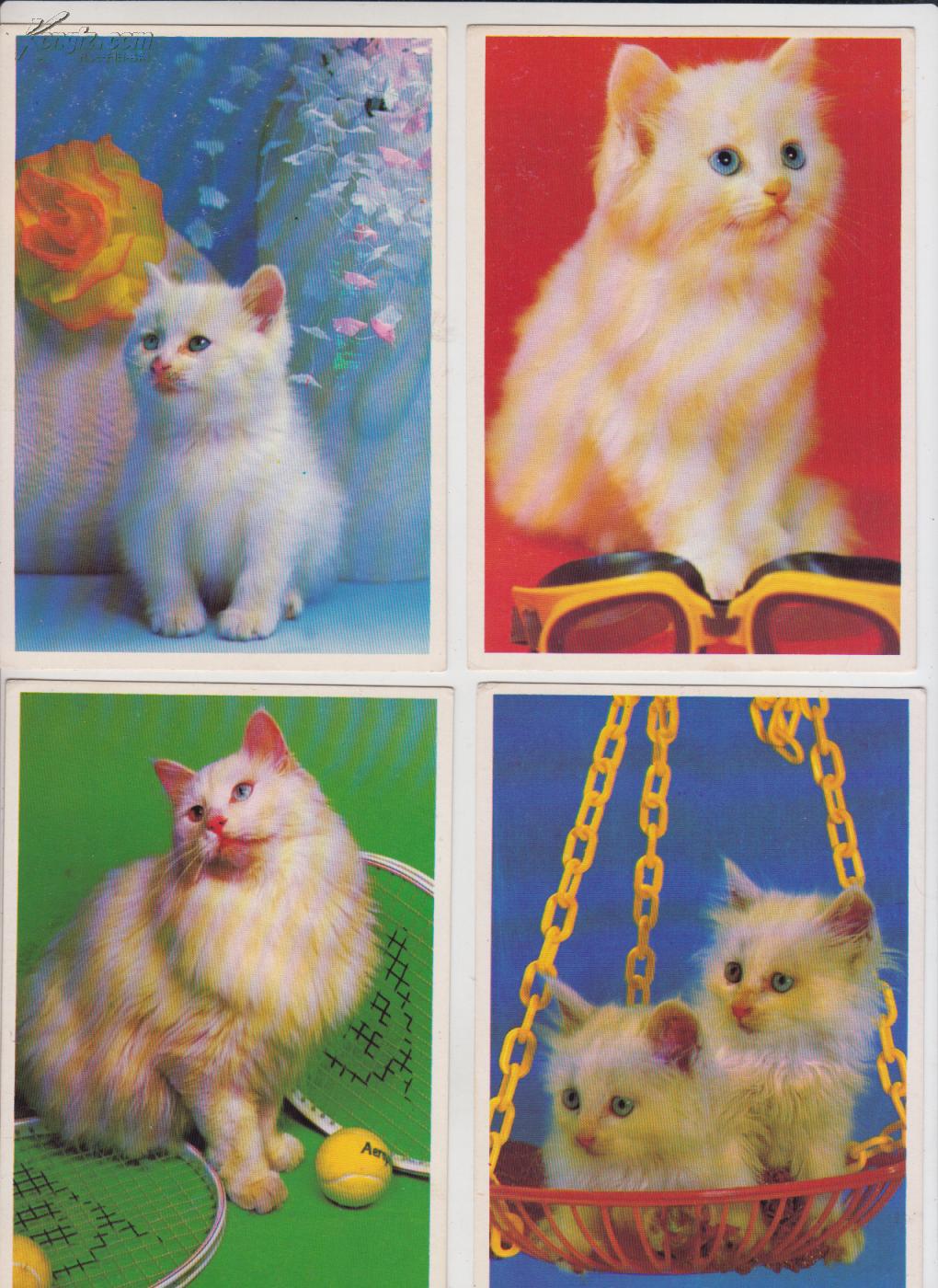 咪咪世界 明信片未使用过 【一套】1991