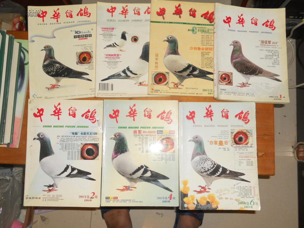 【图】中华信鸽 15本 【见描述】_中华信鸽杂志社_孔夫子旧书网