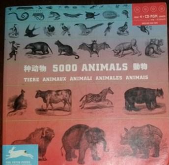 种动物 5000 animals 动物（tiere animaux animals animals animals） 无光盘 现货
