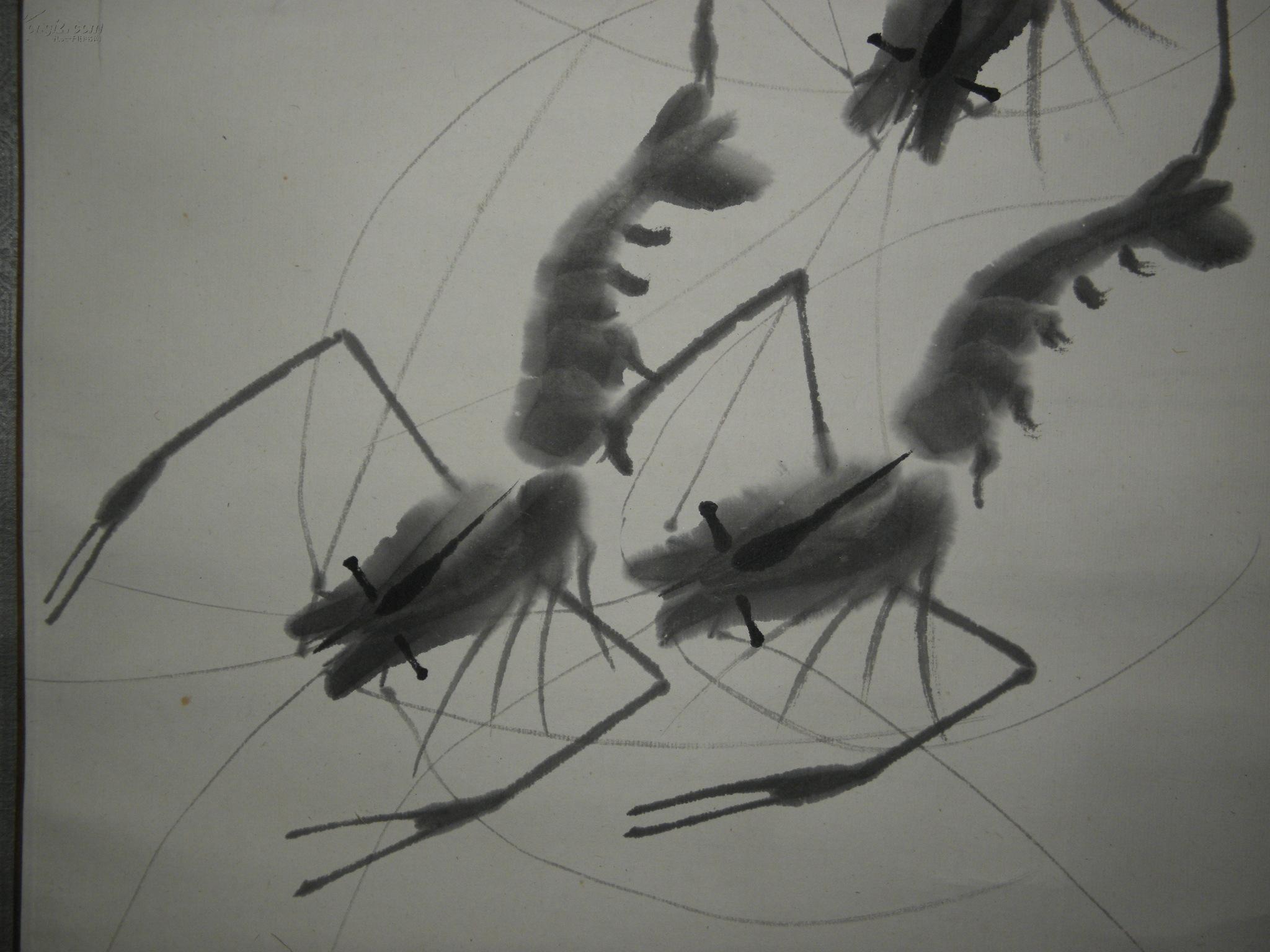 齐白石虾戏图立轴一轴 画心尺寸67*34厘米 高仿品!购于日本