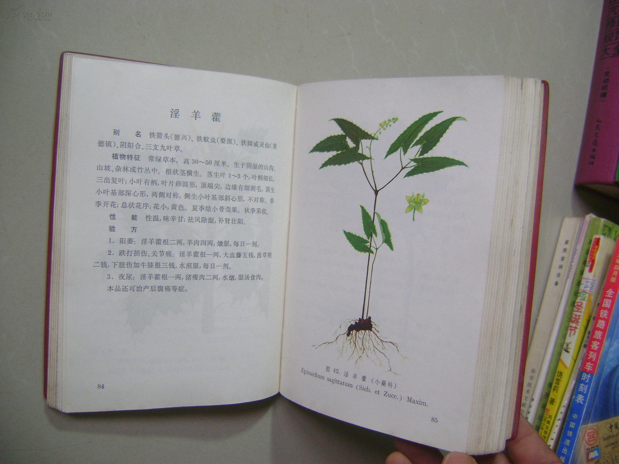 江西草药(32开全彩图)