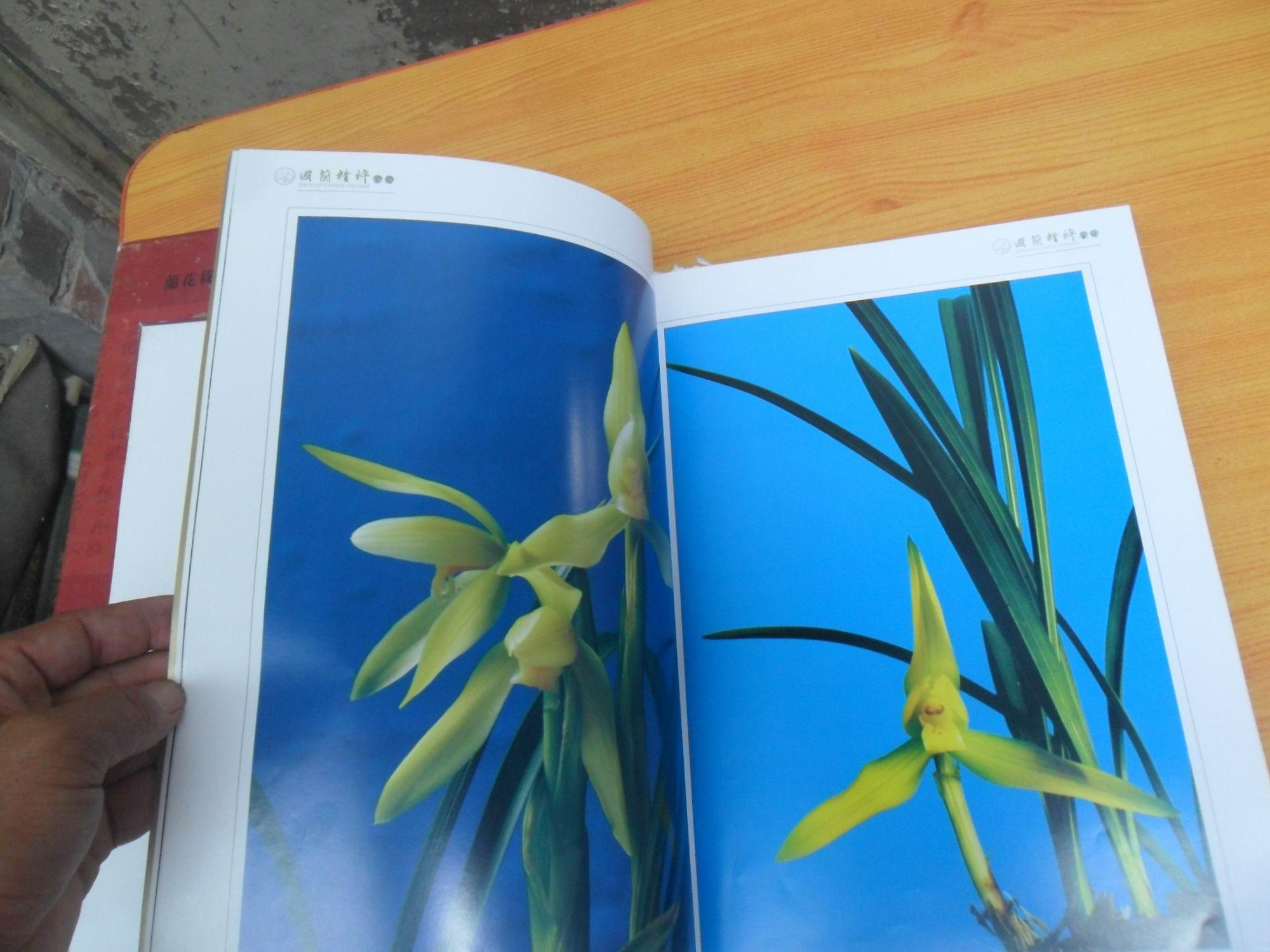 国兰精粹----兰花栽培鉴赏手册(一)8开精装2005年1版1印,带盒套