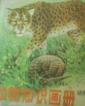 动物知识画册---动物怎样猎取食物