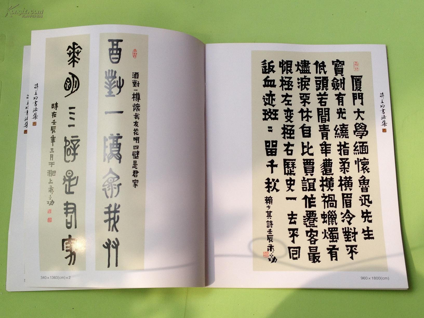 《蒋立功书法集》安徽书法名家,其金农体漆书非常有特色!