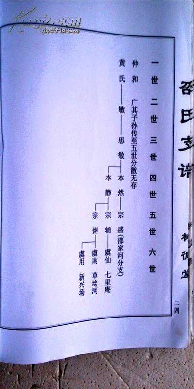 家谱----邵氏支谱【树德堂】盐城仲和公支 (谱稿) 大16开 210页 2012