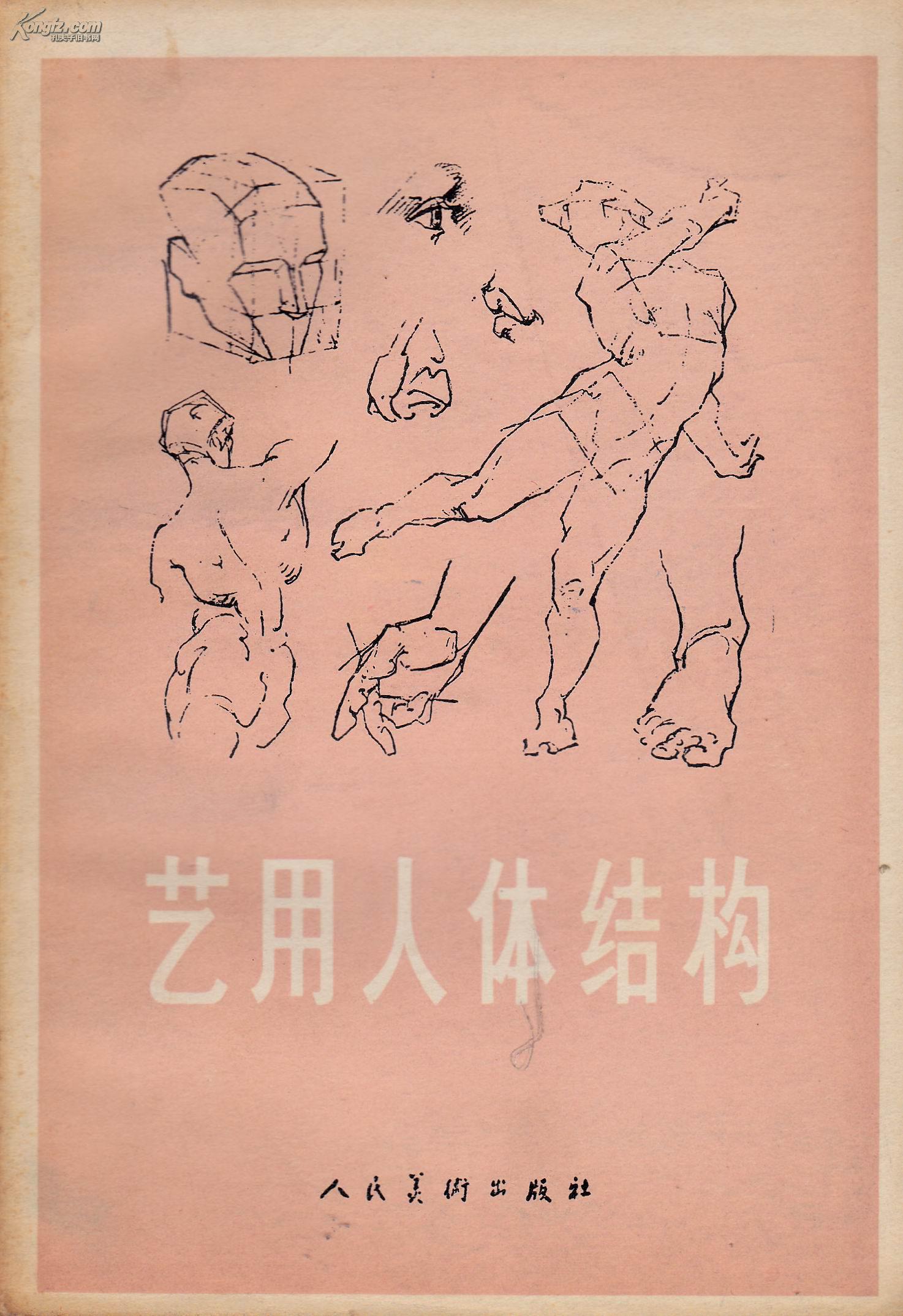 艺用人体结构(美 g.b.伯里曼著