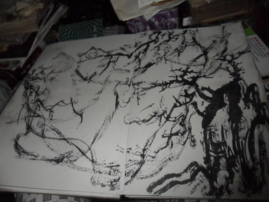 土家族书画家墨耕山水书法宣纸册页46页见图