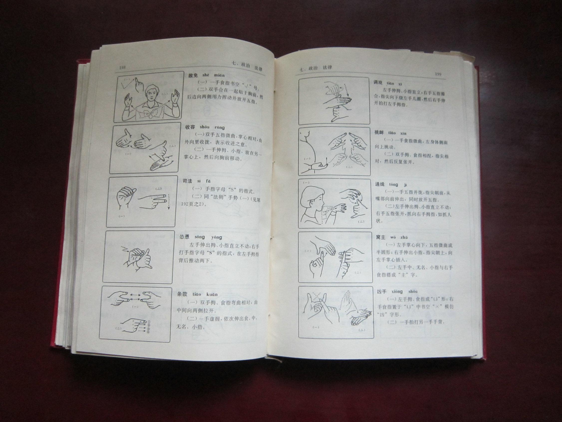 中国手语续集(2册合售)