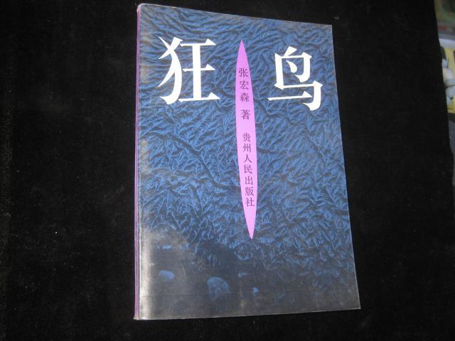 狂鸟(张宏森 著)