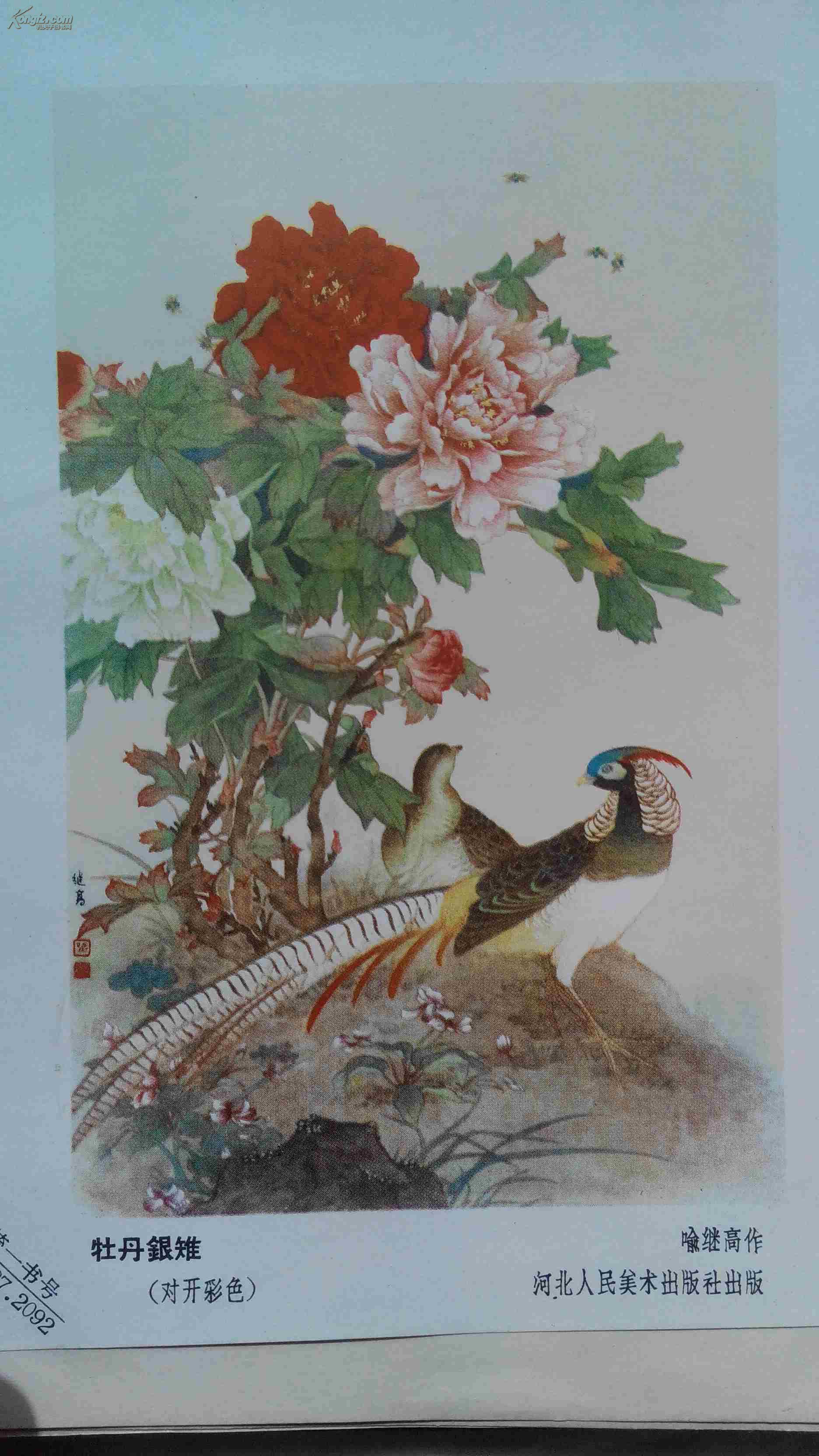 单张缩样年画*牡丹银雉* 宣传画一张
