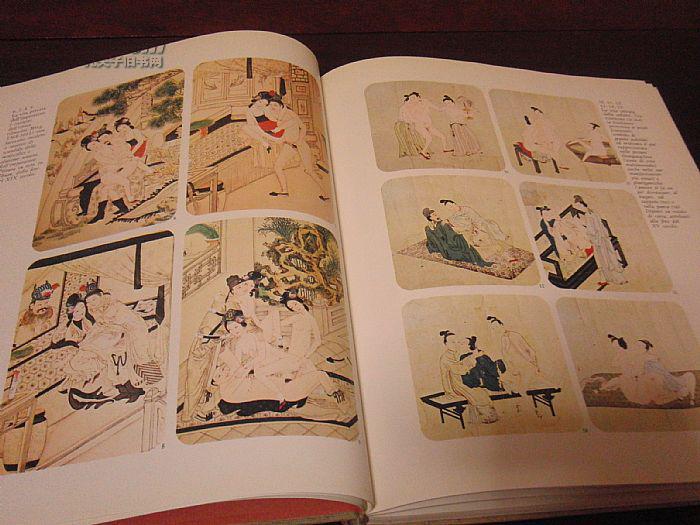 《 l,arte erotica dell,antica cina 》 中国的情色图