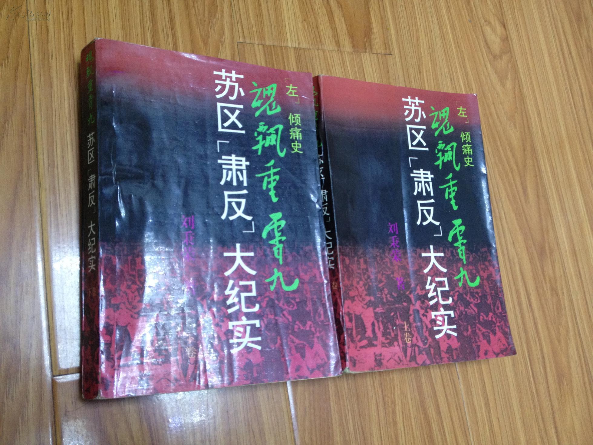 左倾痛史魂飘重霄九苏区肃反大纪实上下卷