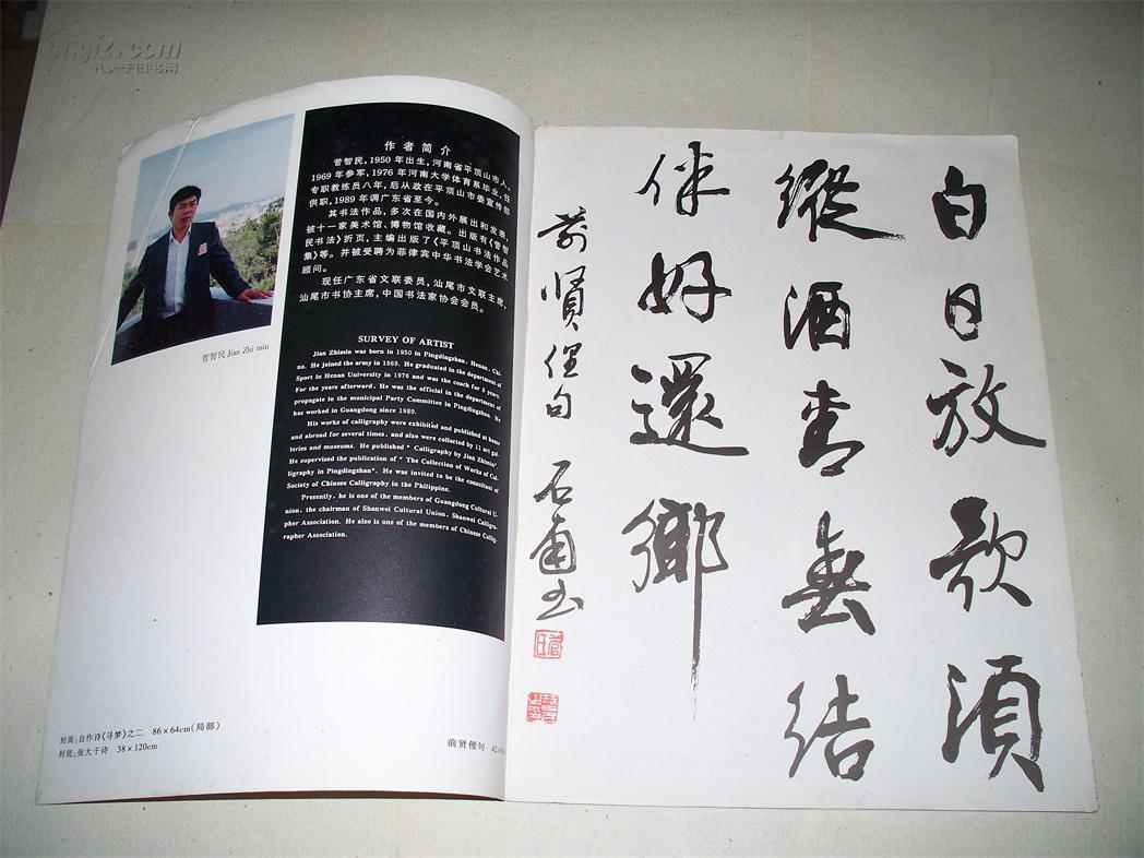 岭南书法家精品集——菅智民作品选