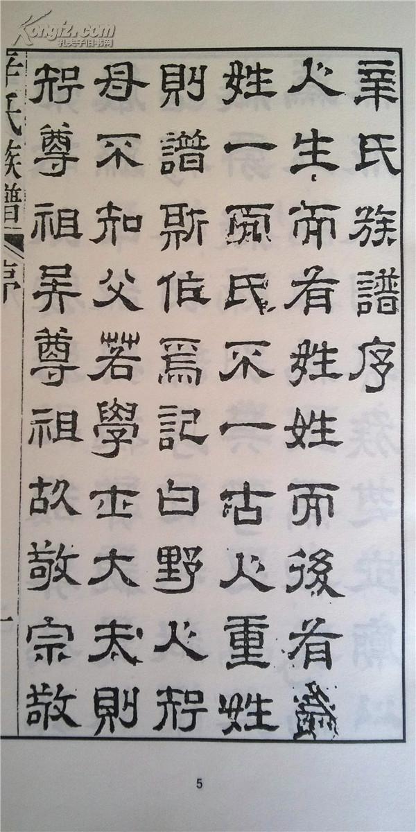 家谱----辛氏族谱 宽福公支 16开 758页 天启二年(1606年) 复印本