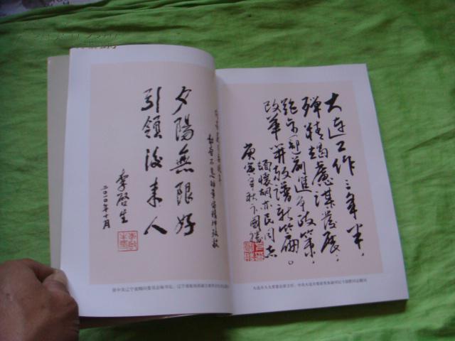 追求-续集【辽宁省委原书记胡亦民纪念文章】