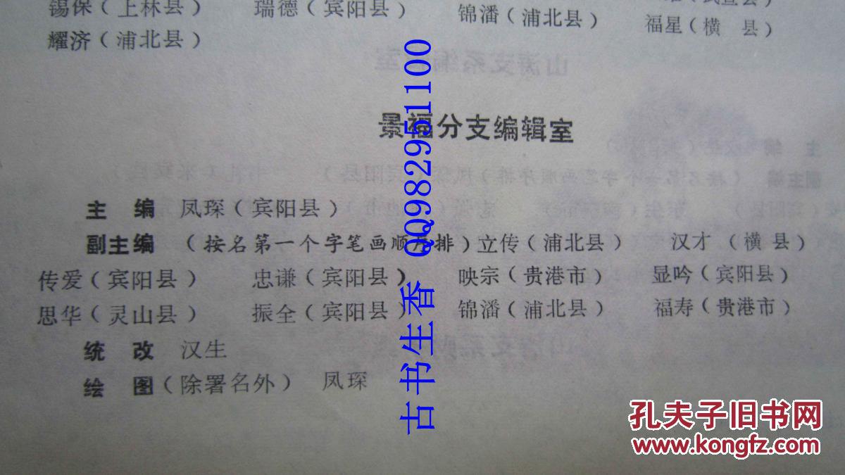 广西韦氏族谱山涛支系景福分册16开精装882页具体县份村名看图片其他