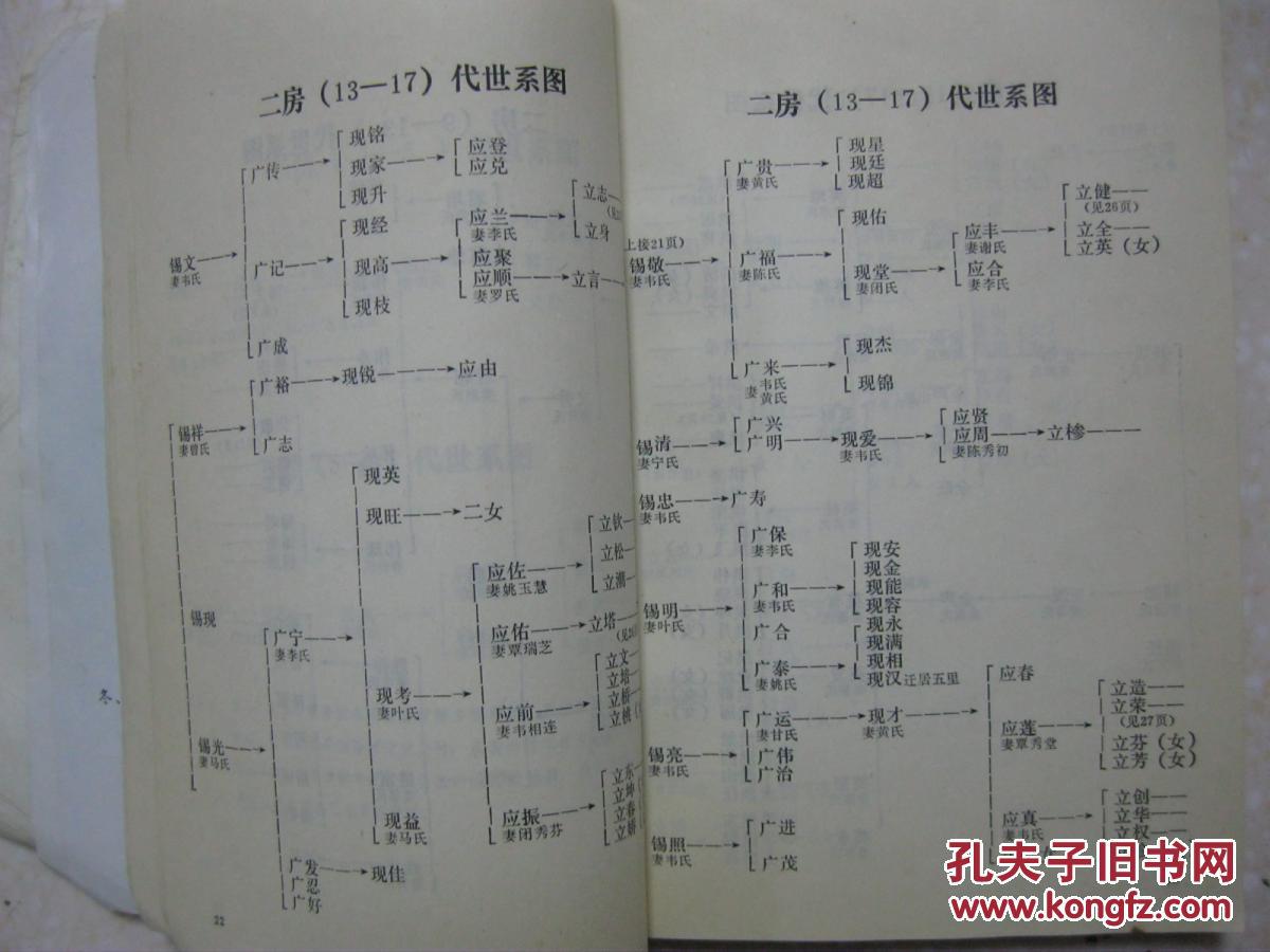 陆氏族谱世系图(陆村五冬.广西贵港市.