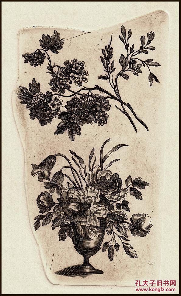 1794年蚀刻版画《花卉》之一,海因里希·布隆巴赫,24.8×19cm