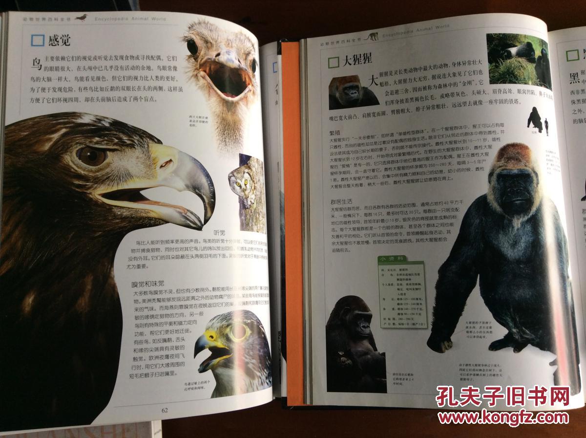 动物世界百科全书上卷低等动物昆虫鸟下卷哺乳动物