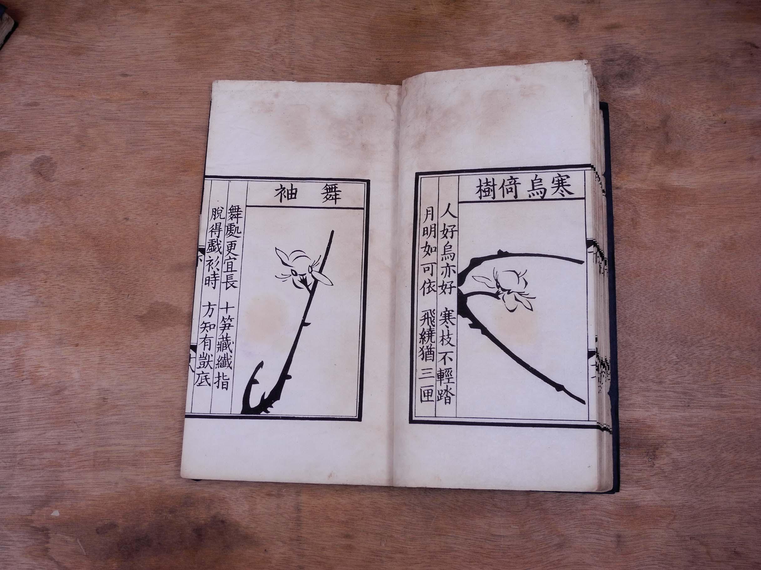 民国17年影宋印本【宋雪岩梅花喜神谱】不缺页不少字.完整无缺.