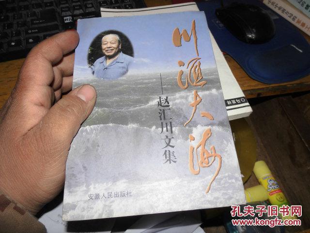 川汇大海 -赵汇川文集