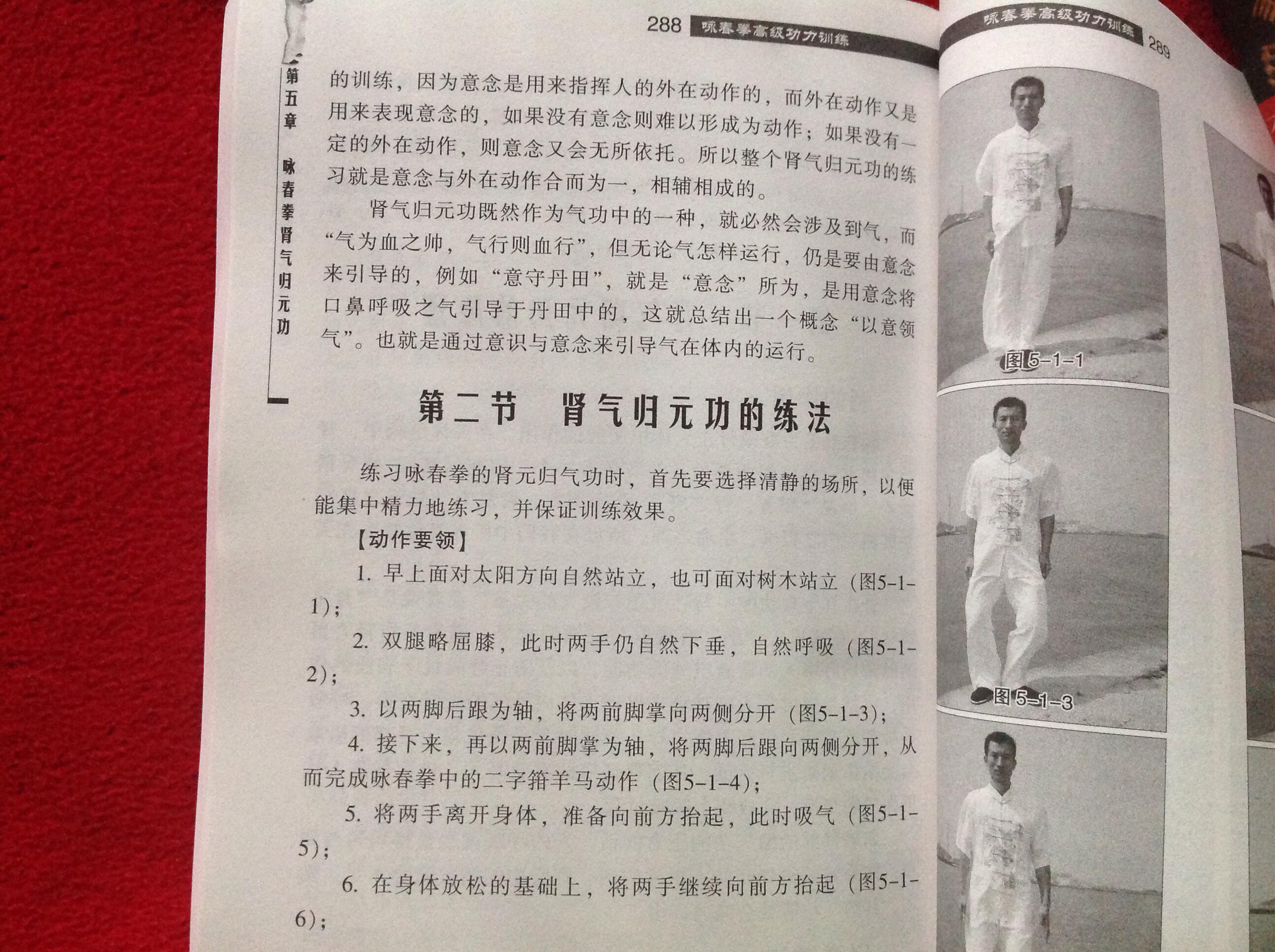 咏春拳高级功力训练(本书核心内容:咏春拳内功--肾气归元功【正版原书