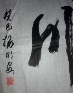 杨明安书法;02