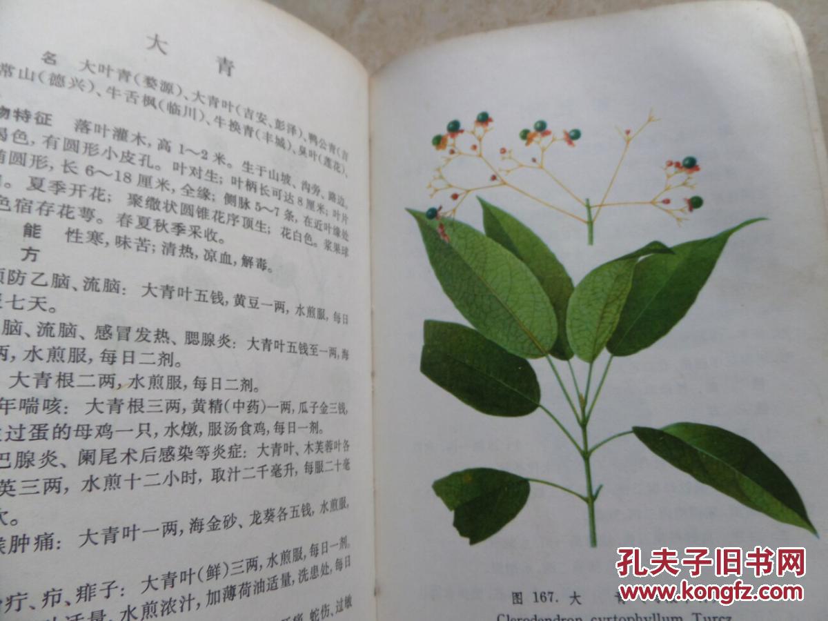 《江西草药》(32开本,一草药一彩图),有损但不损内容.