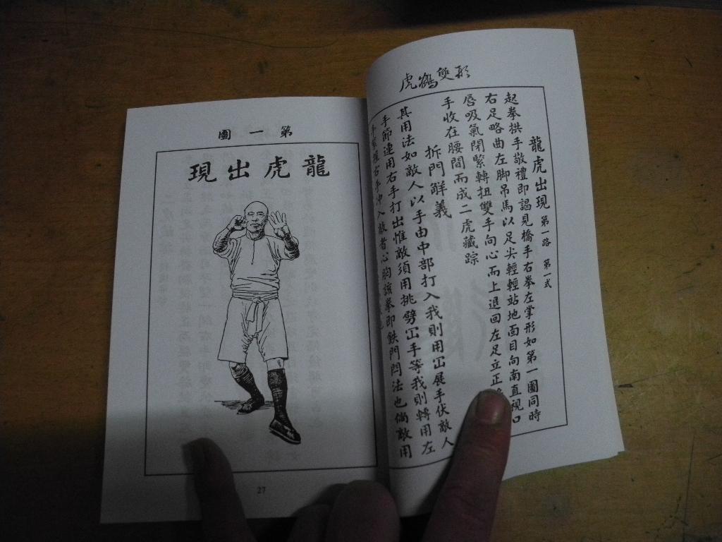 老版武术书《虎鹤双形——林世荣遗技》岭南拳术