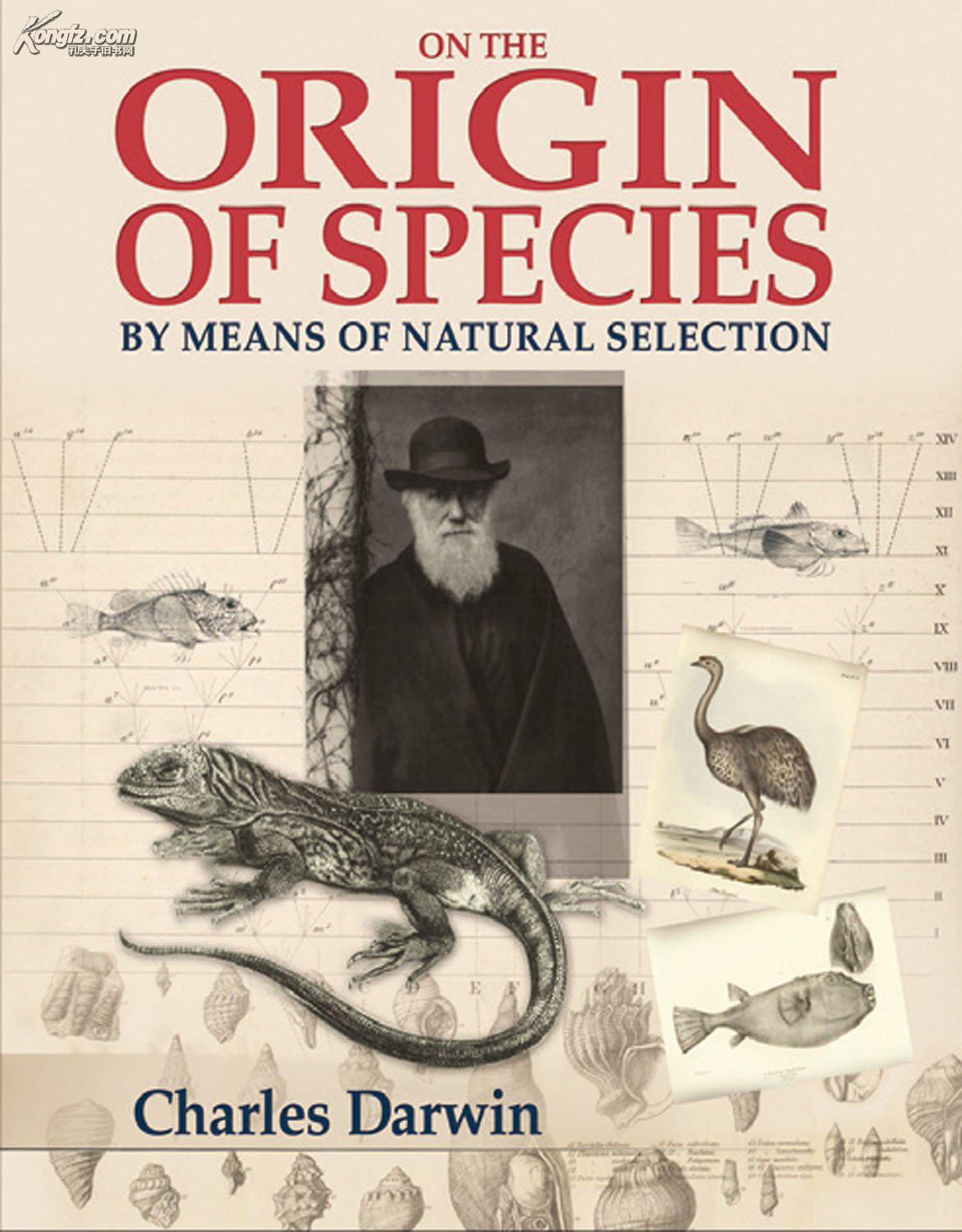 on the origin of species: by means of natural selection