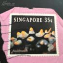 《新加坡邮票--花卉》