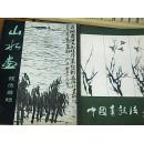 中国画技法（1,2，二册）花鸟，山水
