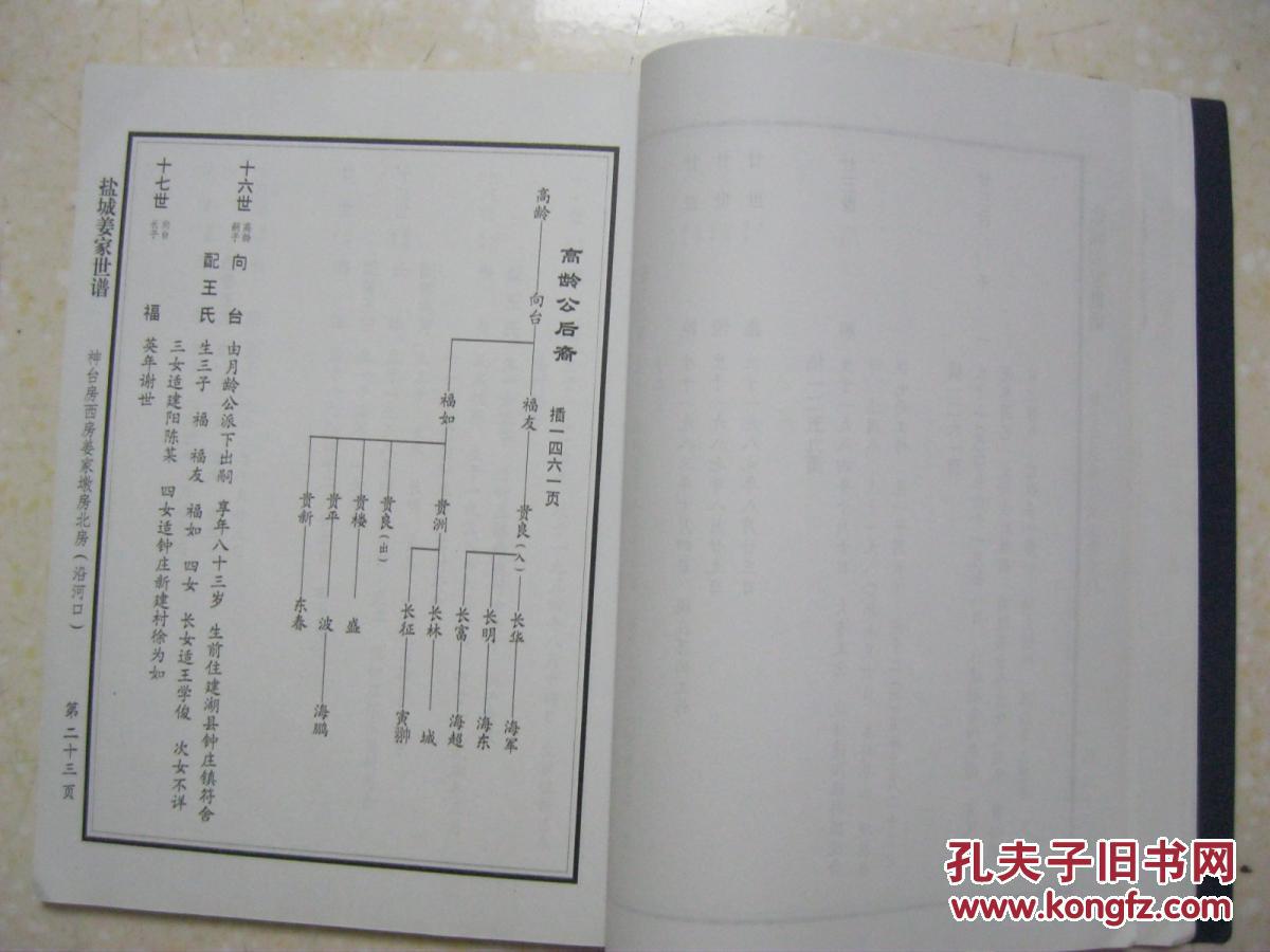 姜家世谱(增补分册.盐城姜氏族谱.渭水堂)