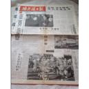 报纸 哈尔滨日报【1996年2月22日 7月28日】四版共两期