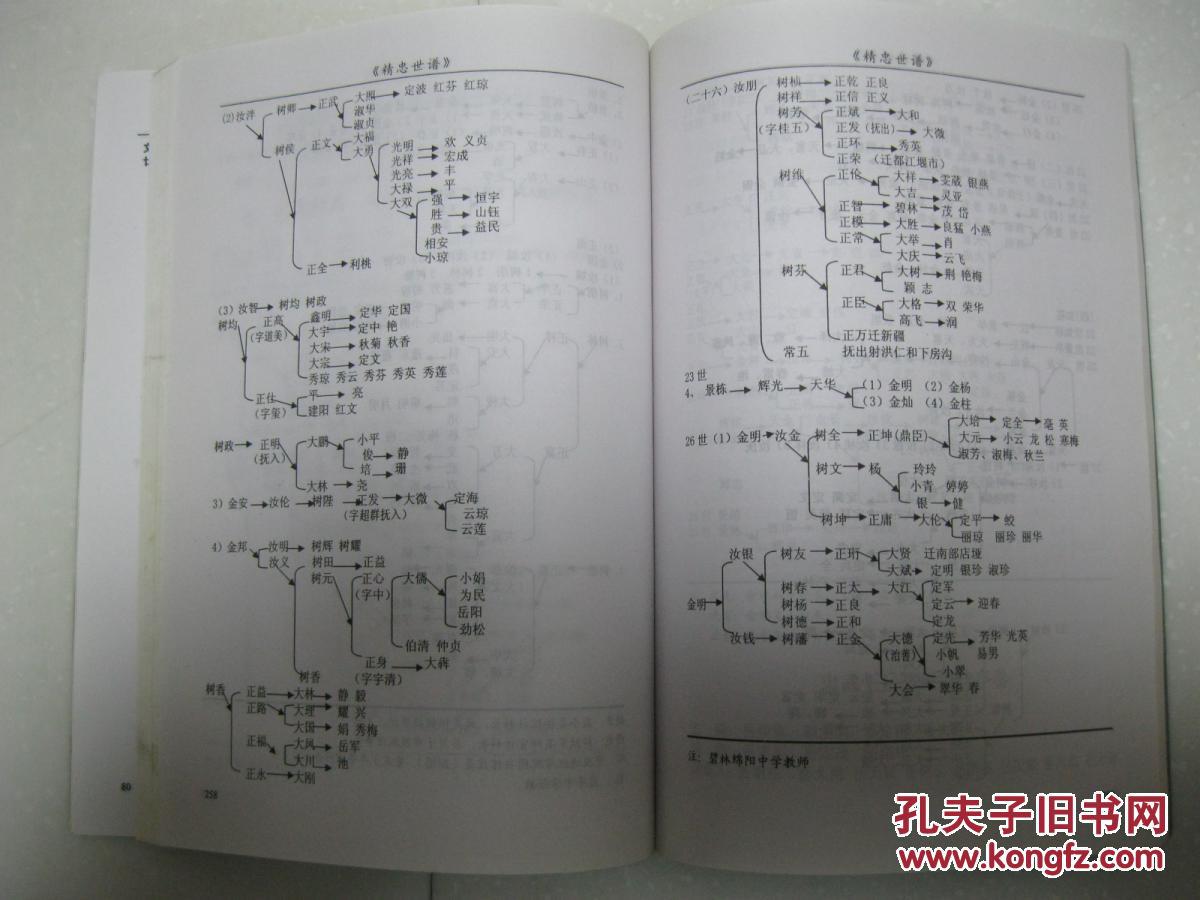 盐亭县,射洪县,三台县,西充县一带,岳飞第四子岳震后裔家谱)