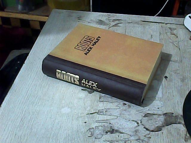 roots:alex haley(根)