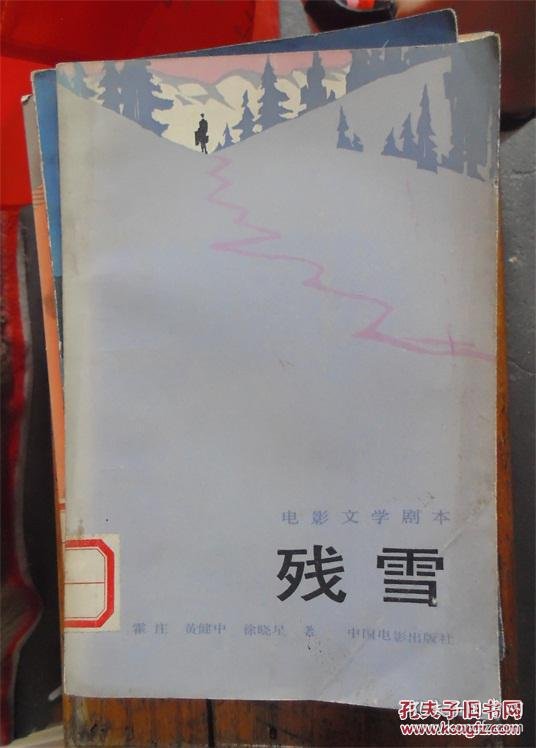 残雪:电影文学剧本